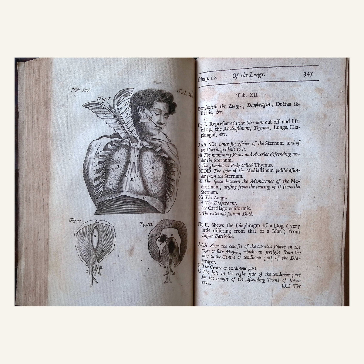 The Anatomy of Humane Bodies Epitomized Wherein All the Parts of Man's Body, with their Actions and Uses are Succinctly Described According to the Newest Doctrine of the Most Accurate and Learned Modern Anatomists. (The Fourth Edition etc.)