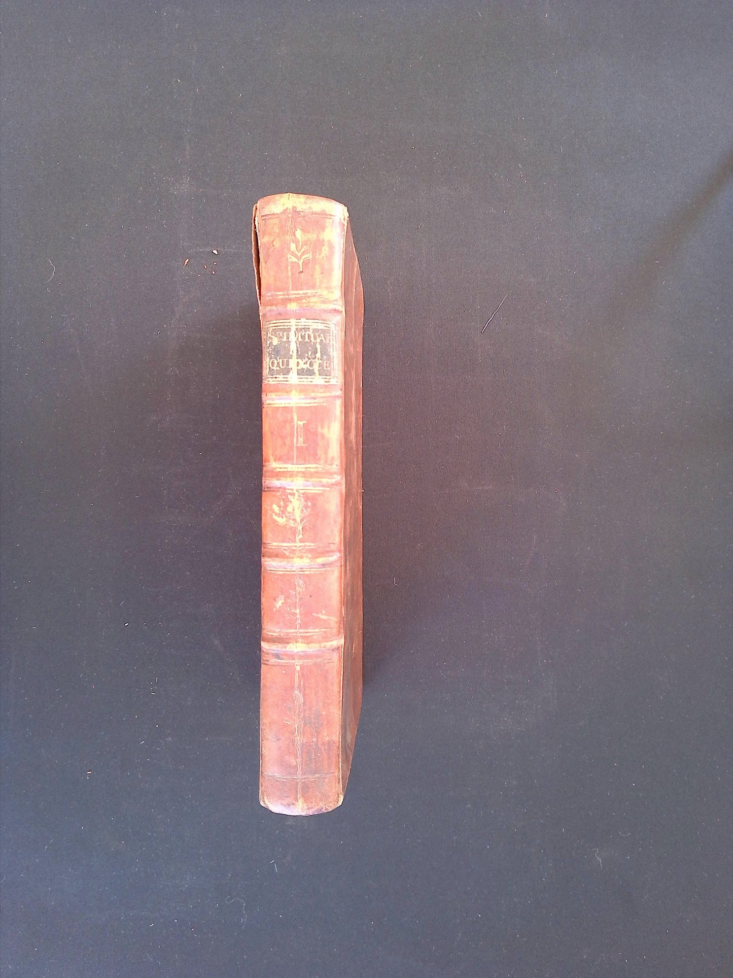 The Spiritual Quixote: Or, The Summer's Ramble of Mr Geoffrey Wildgoose (Volume 1)