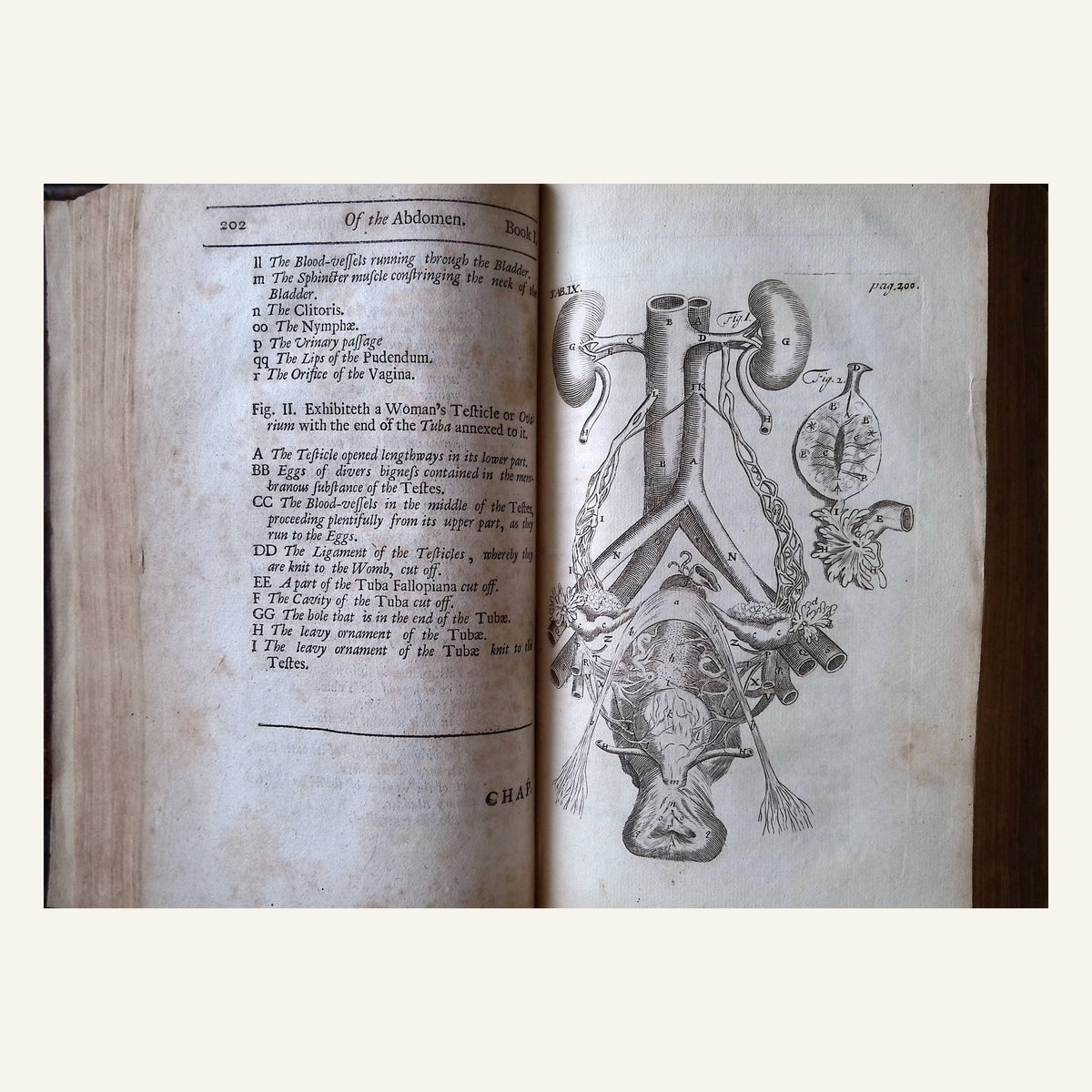 The Anatomy of Humane Bodies Epitomized Wherein All the Parts of Man's Body, with their Actions and Uses are Succinctly Described According to the Newest Doctrine of the Most Accurate and Learned Modern Anatomists. (The Fourth Edition etc.)