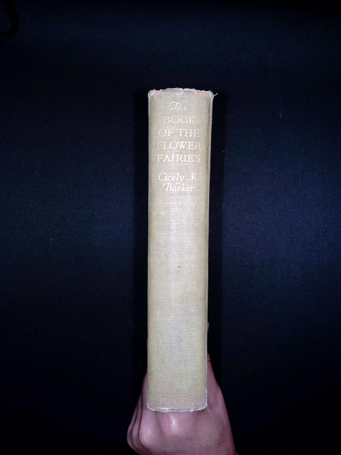 The Book of the Flower Fairies