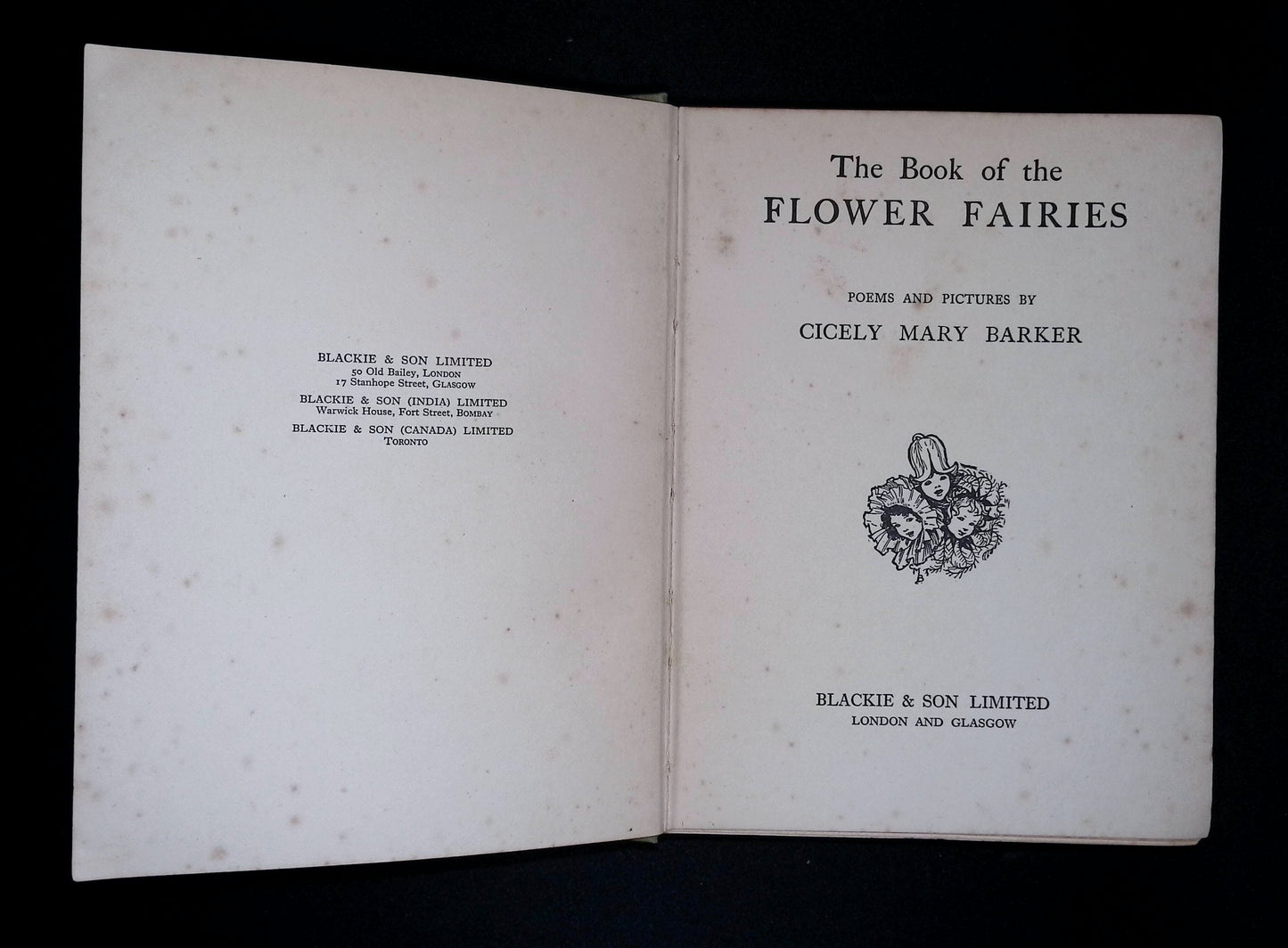 The Book of the Flower Fairies