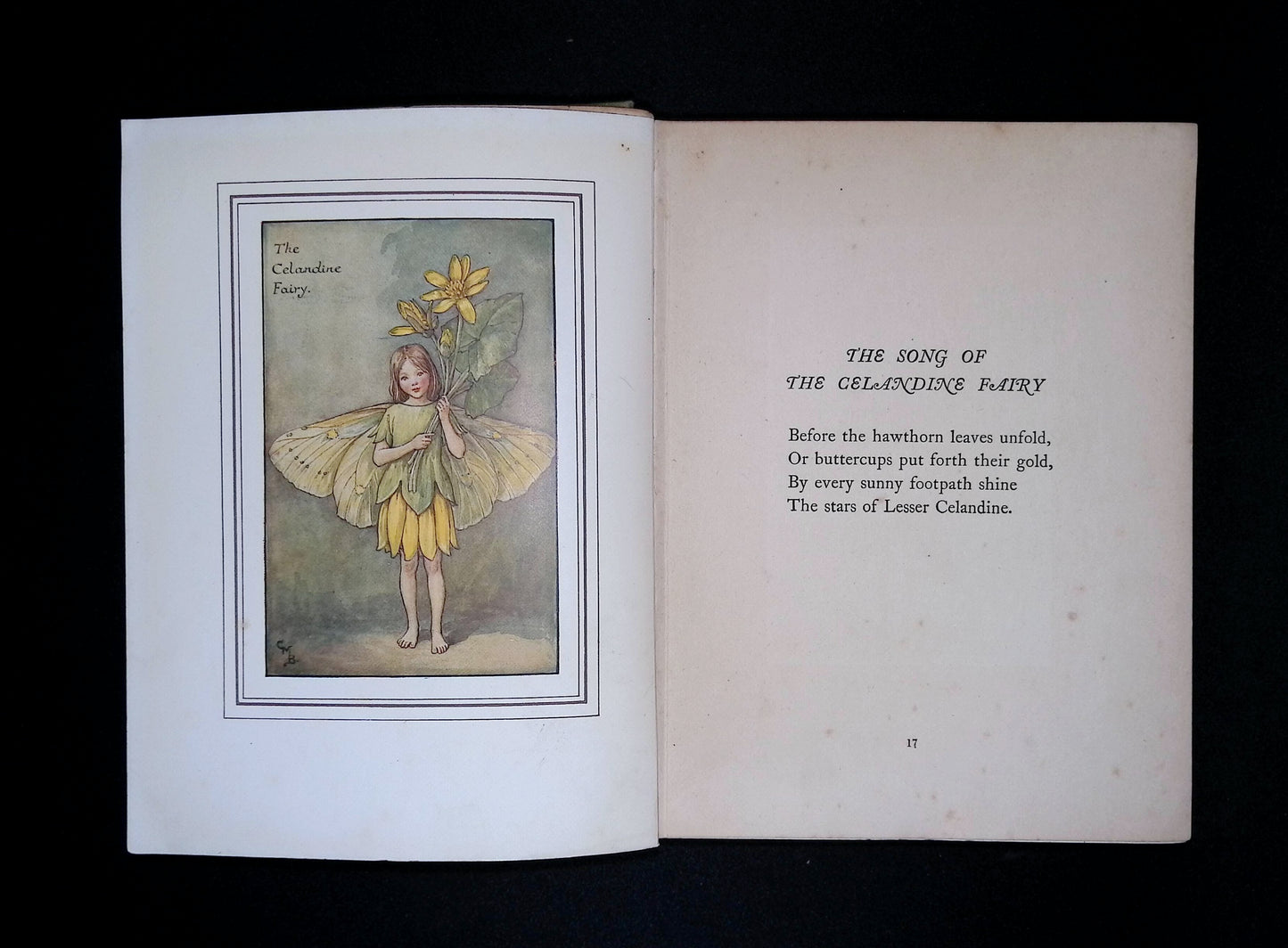 The Book of the Flower Fairies