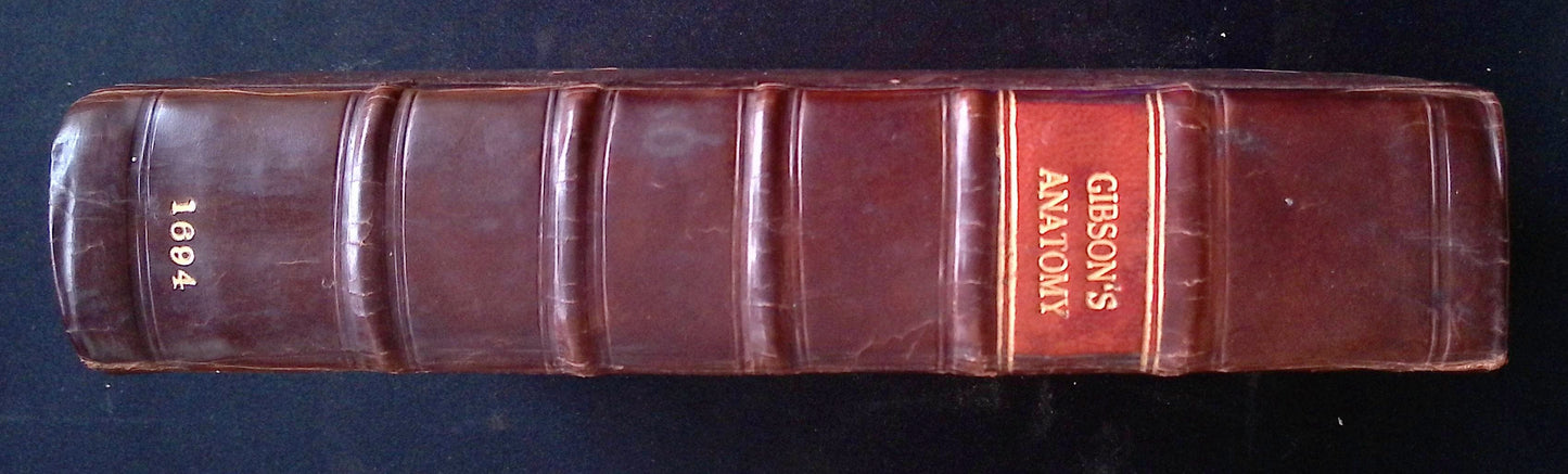 The Anatomy of Humane Bodies Epitomized Wherein All the Parts of Man's Body, with their Actions and Uses are Succinctly Described According to the Newest Doctrine of the Most Accurate and Learned Modern Anatomists. (The Fourth Edition etc.)