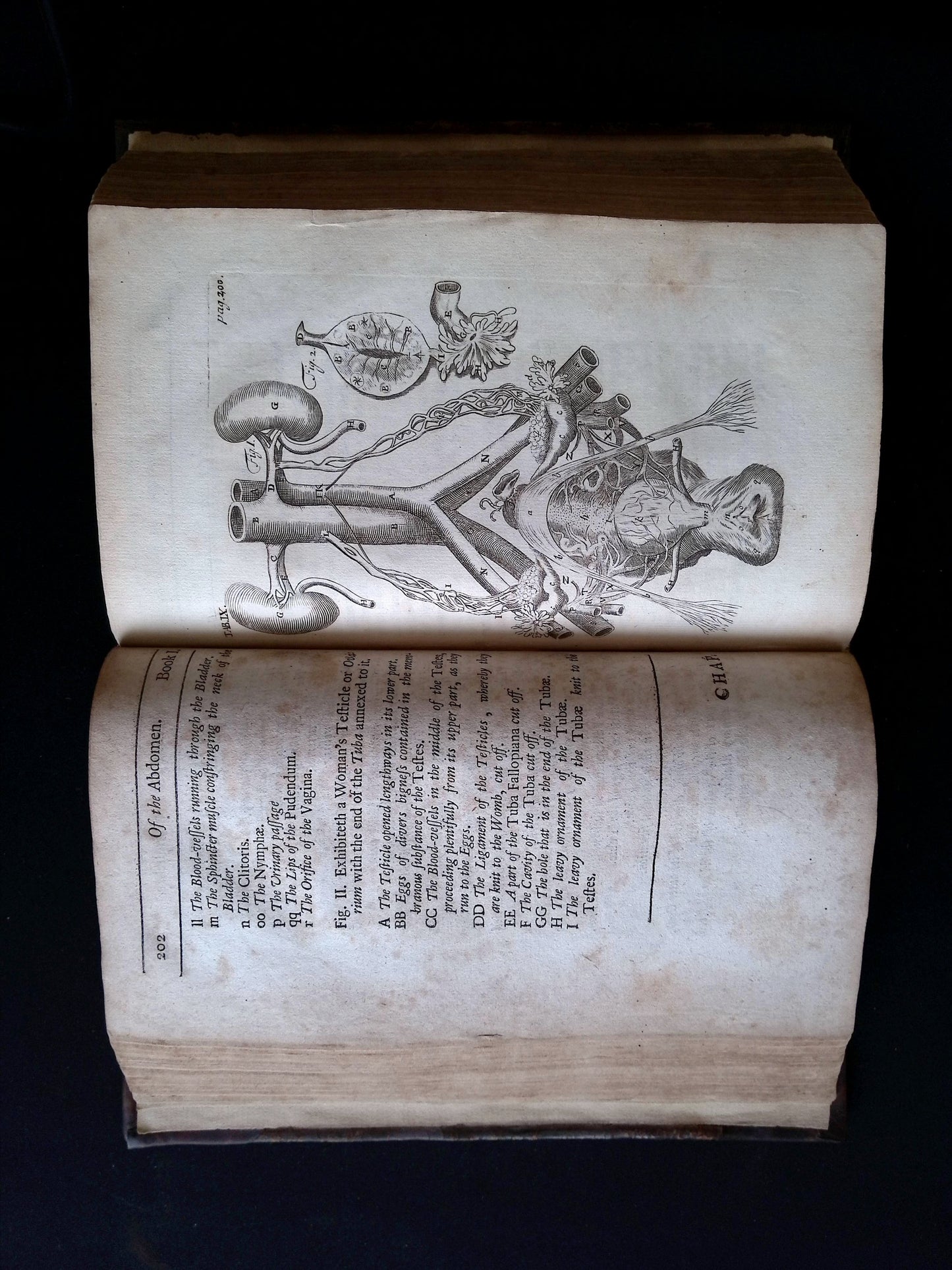 The Anatomy of Humane Bodies Epitomized Wherein All the Parts of Man's Body, with their Actions and Uses are Succinctly Described According to the Newest Doctrine of the Most Accurate and Learned Modern Anatomists. (The Fourth Edition etc.)