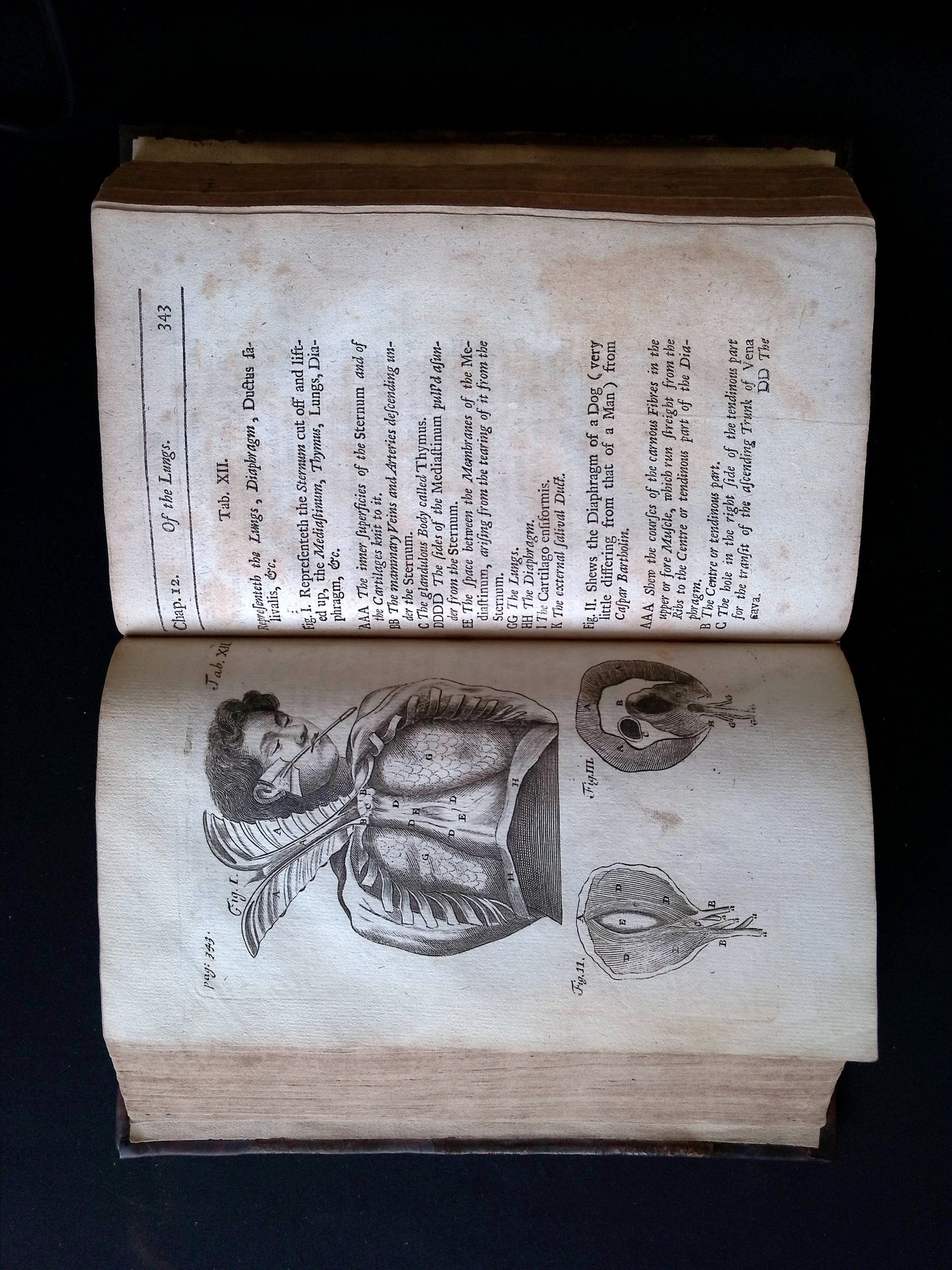 The Anatomy of Humane Bodies Epitomized Wherein All the Parts of Man's Body, with their Actions and Uses are Succinctly Described According to the Newest Doctrine of the Most Accurate and Learned Modern Anatomists. (The Fourth Edition etc.)