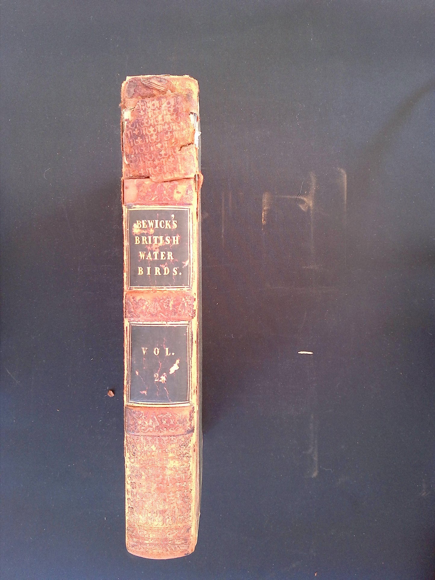 A History of British Birds, Vol. II. Containing the History & Description of Water Birds