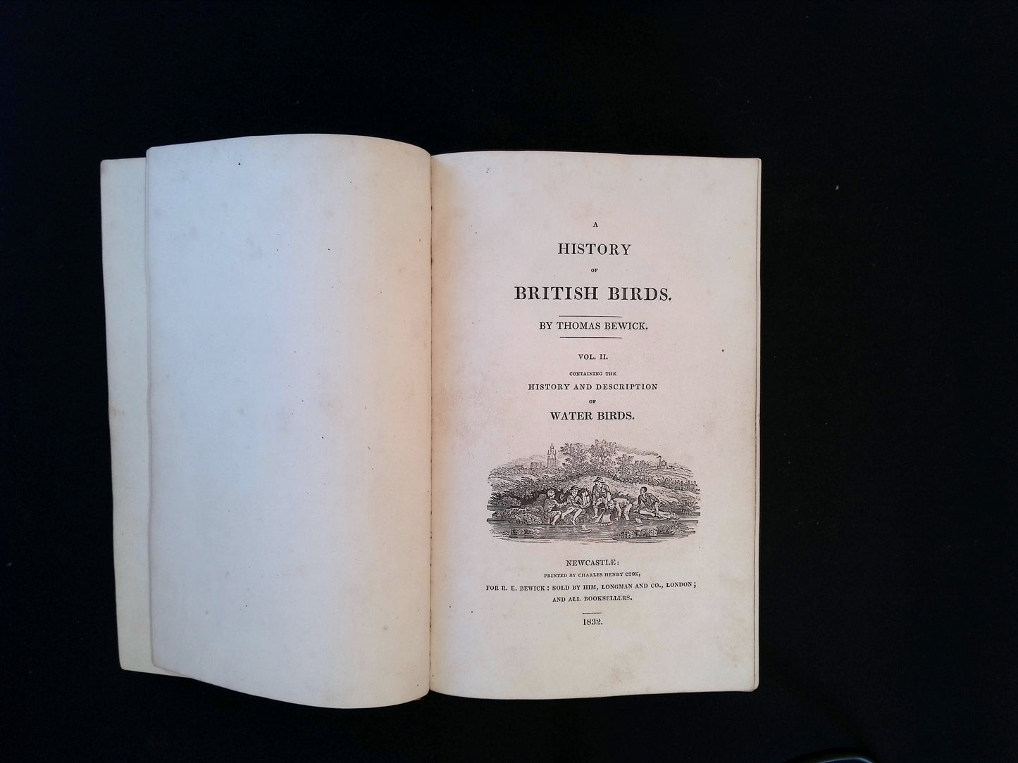 A History of British Birds, Vol. II. Containing the History & Description of Water Birds
