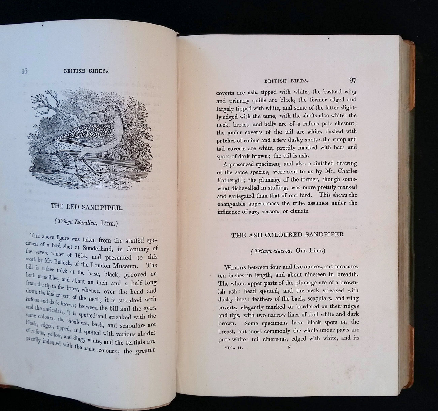 A History of British Birds, Vol. II. Containing the History & Description of Water Birds