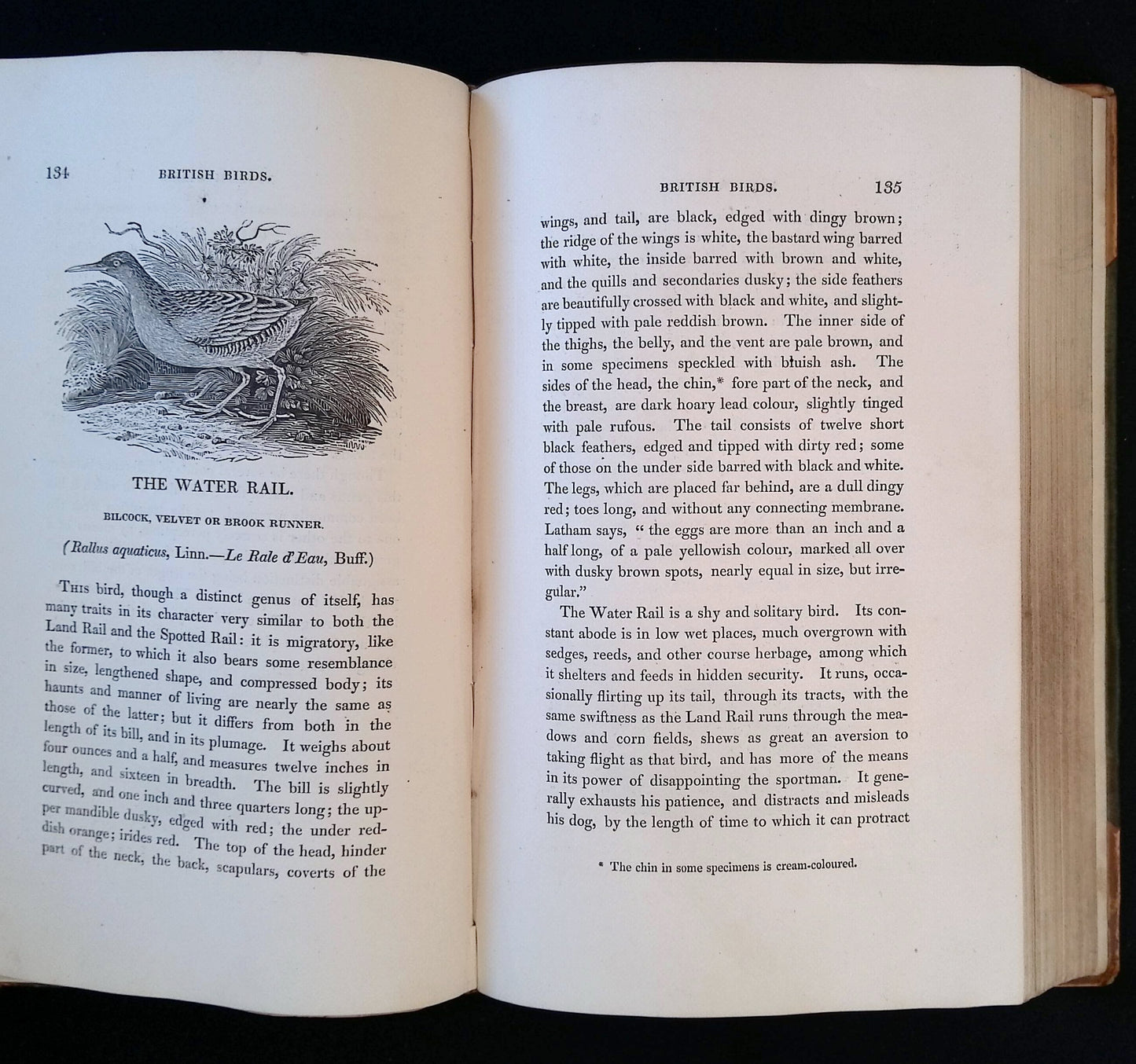 A History of British Birds, Vol. II. Containing the History & Description of Water Birds