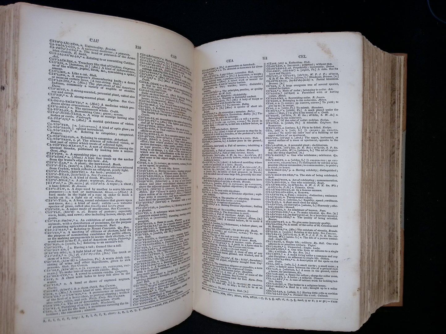 A Critical & Pronouncing Dictionary of the English Language: Including Scientific Terms Compiled from the Materials of Noah Webster, L.L.D.