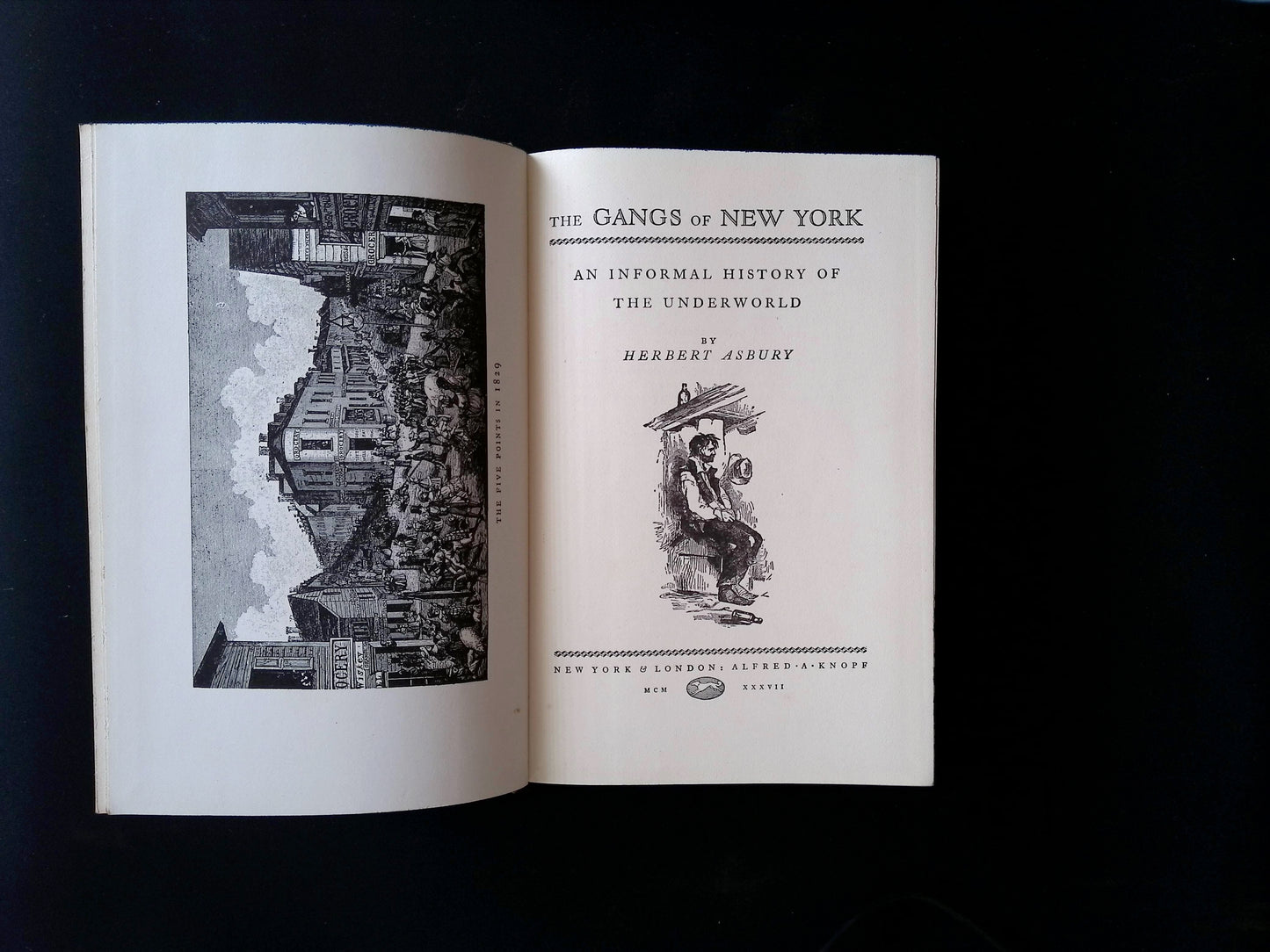 The Gangs of New York: An Informal History of the Underworld