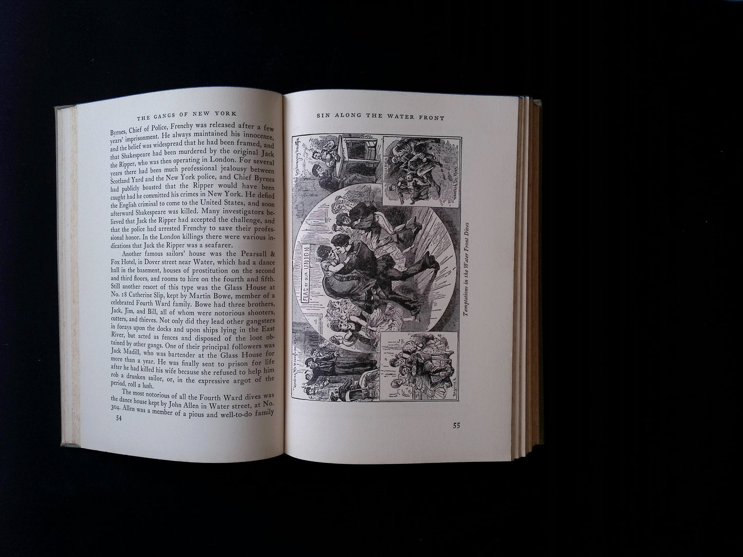 The Gangs of New York: An Informal History of the Underworld