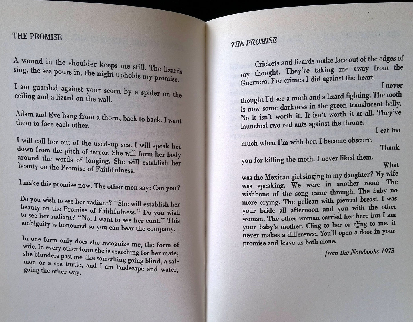 Death of a Lady's Man: A Collection of Poetry and Prose