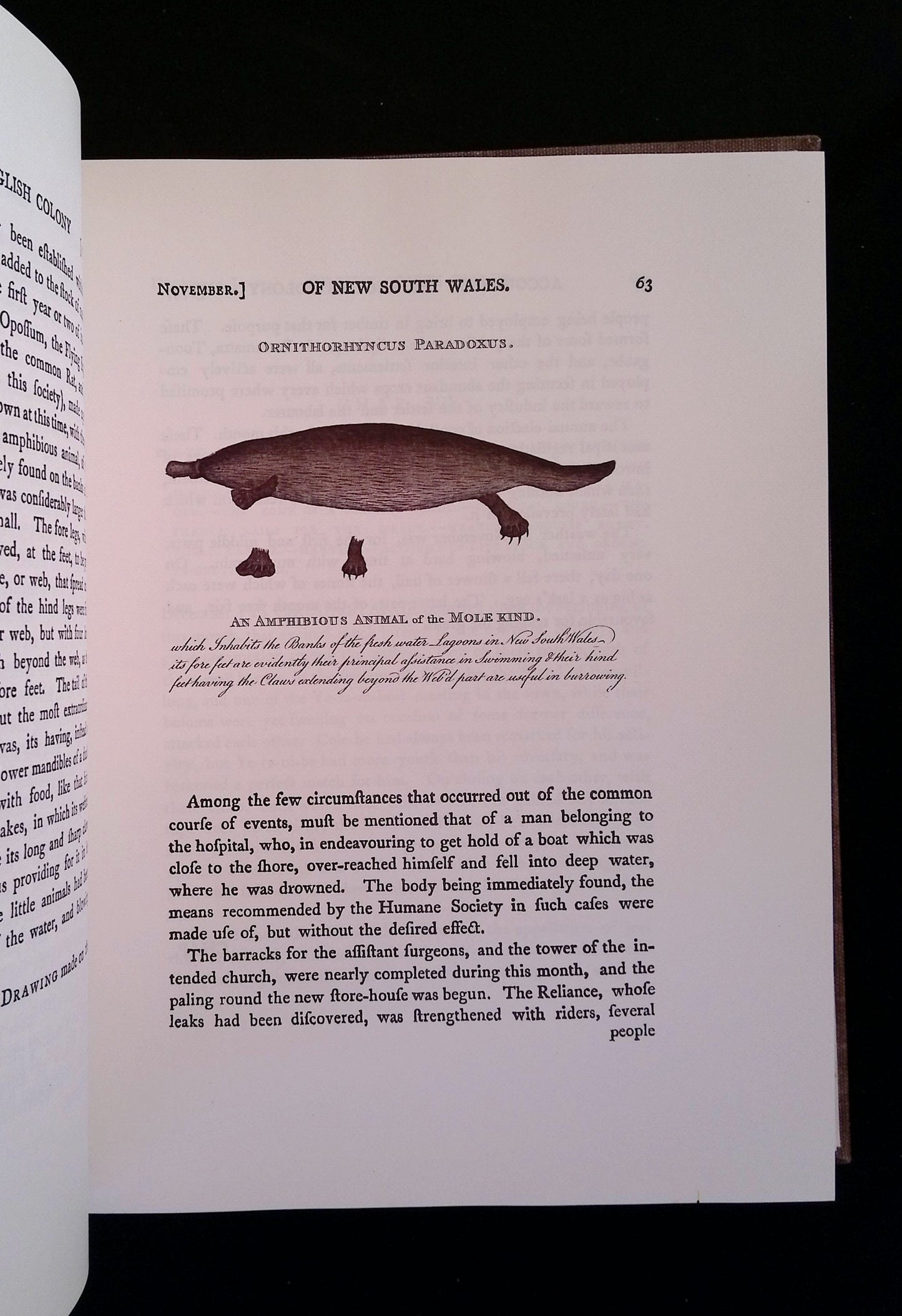 An Account of the English Colony in New South Wales: With Remarks on the Dispositions, Customs, Manners, &c. of the Native Inhabitants of that Country. To Which are Added Some Particulars of New Zealand. (Two Volumes)