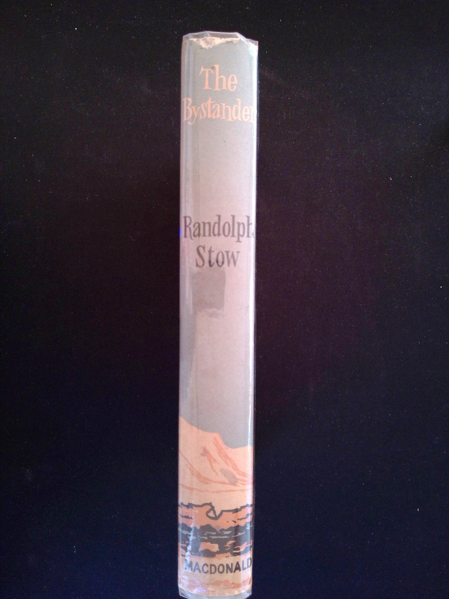 The Bystander